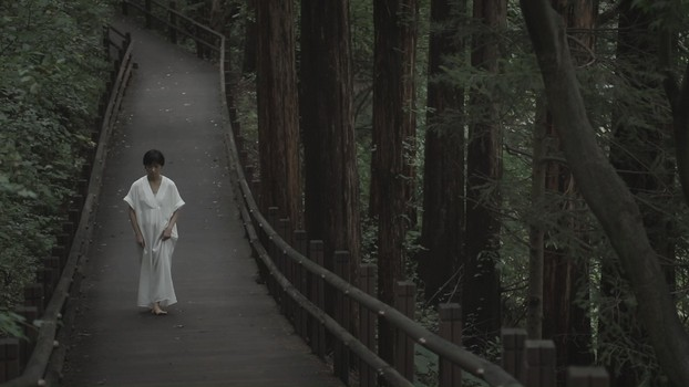 Selected frame 3 from the Yangsaeng moving-image series