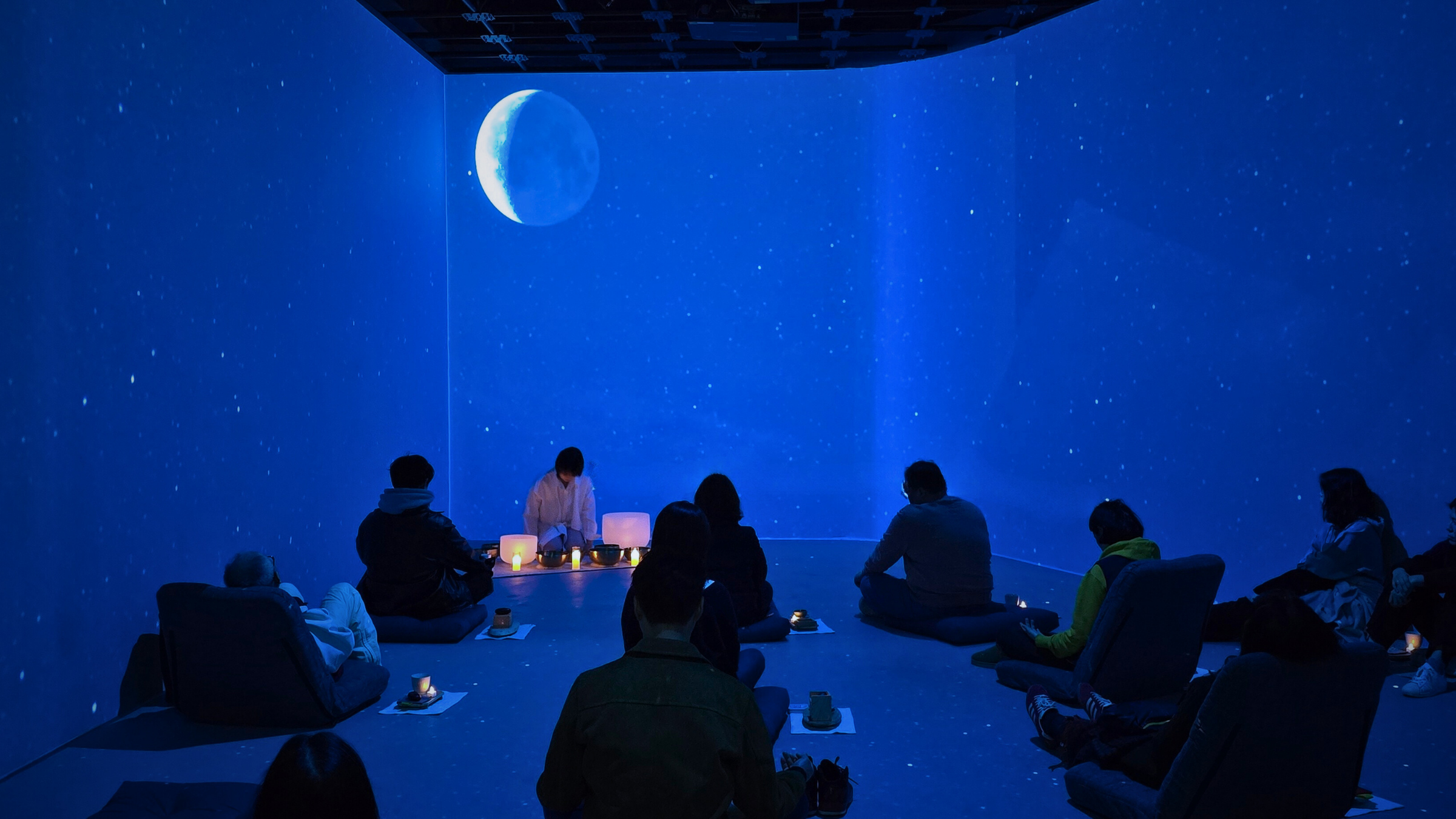 Digital Forest Meditation Odyssey media-wall installation